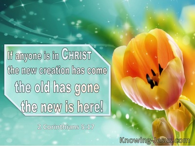 2 Corinthians 5:17 In Anyone Is In Christ The Old Creation Has Gone (windows)01:02